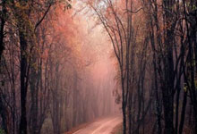 Nasdaq's 7-Month Win Streak Ends: What it Signals for Innovation and Opportunity