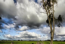 GeeFi (GEE) vs. Avalanche (AVAX): Another '100X' Altcoin Miracle?: What the 'experts' are selling, and who's buying the hype.