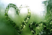 Nasdaq's 7-Month Win Streak Ends: What it Signals for Innovation and Opportunity