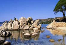 GeeFi (GEE) vs. Avalanche (AVAX): Another '100X' Altcoin Miracle?: What the 'experts' are selling, and who's buying the hype.