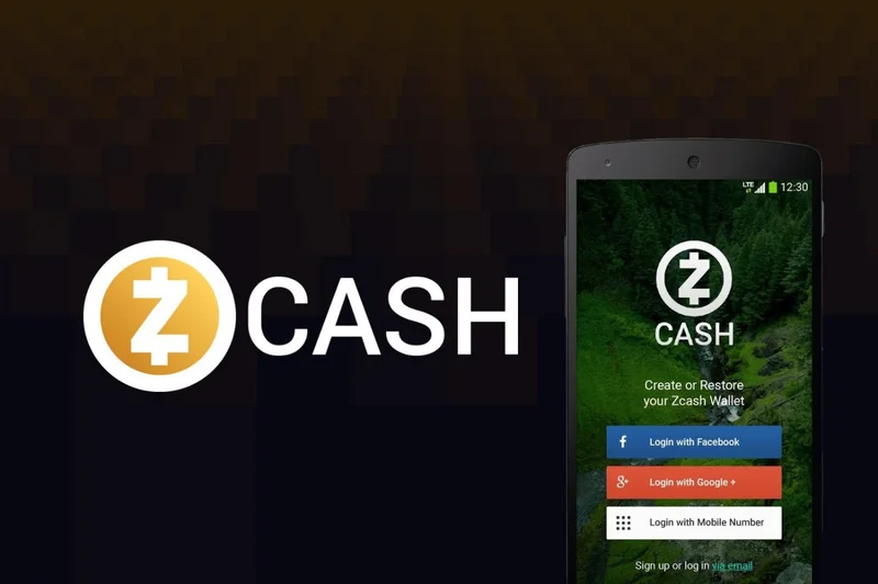 Zcash vs. Bitcoin: Market Cap and Privacy – What We Know